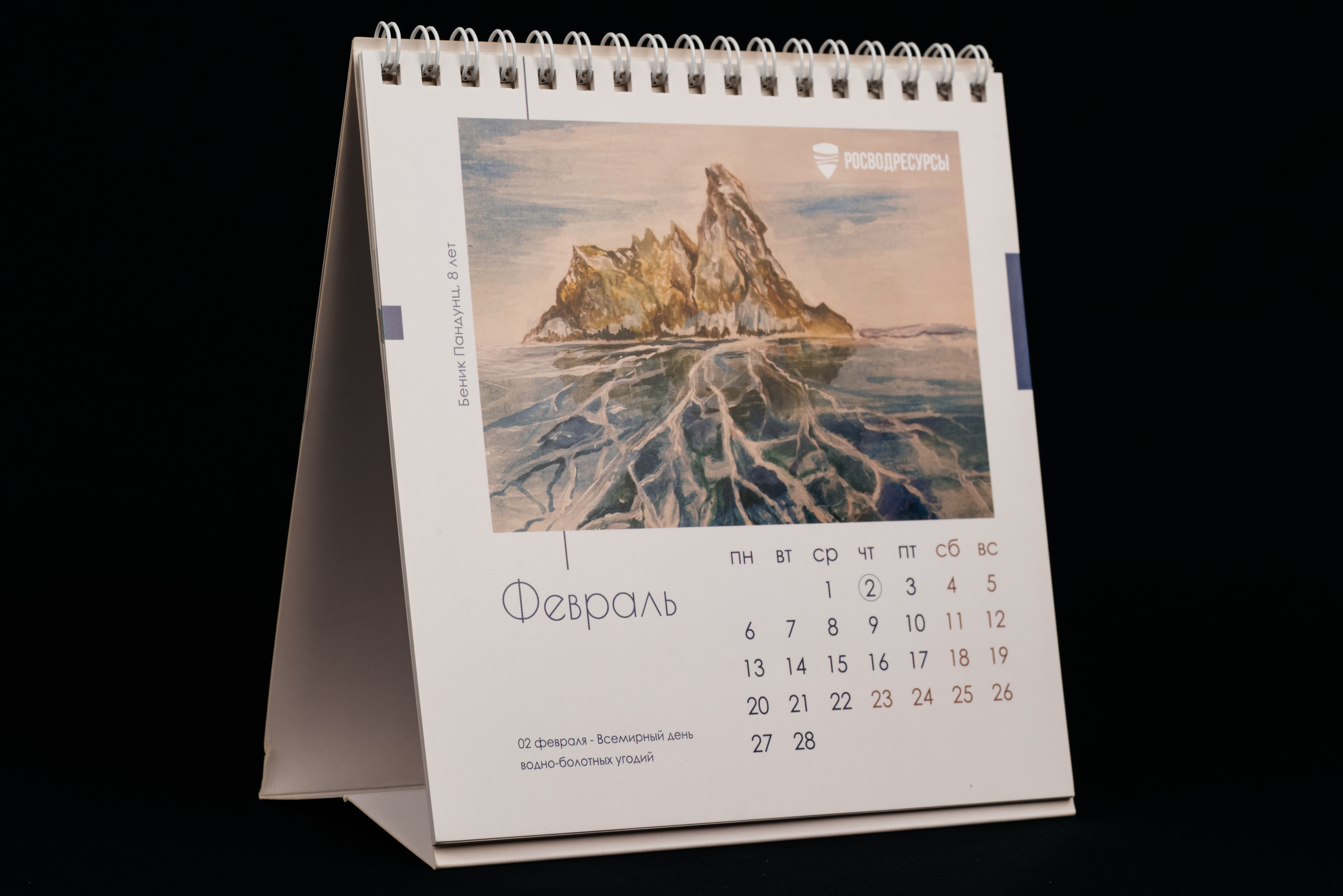 Изображения отсутствуют