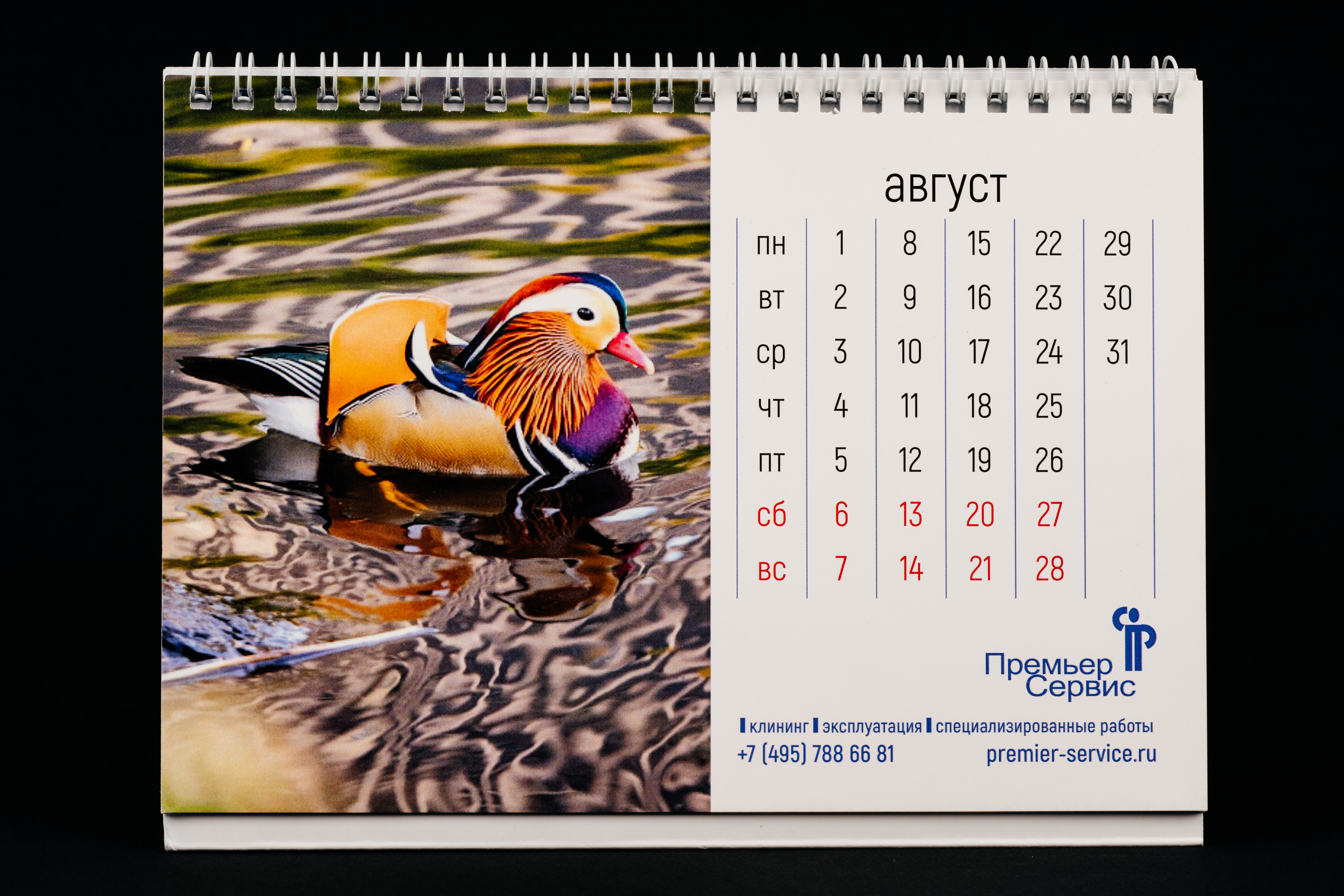 Изображения отсутствуют