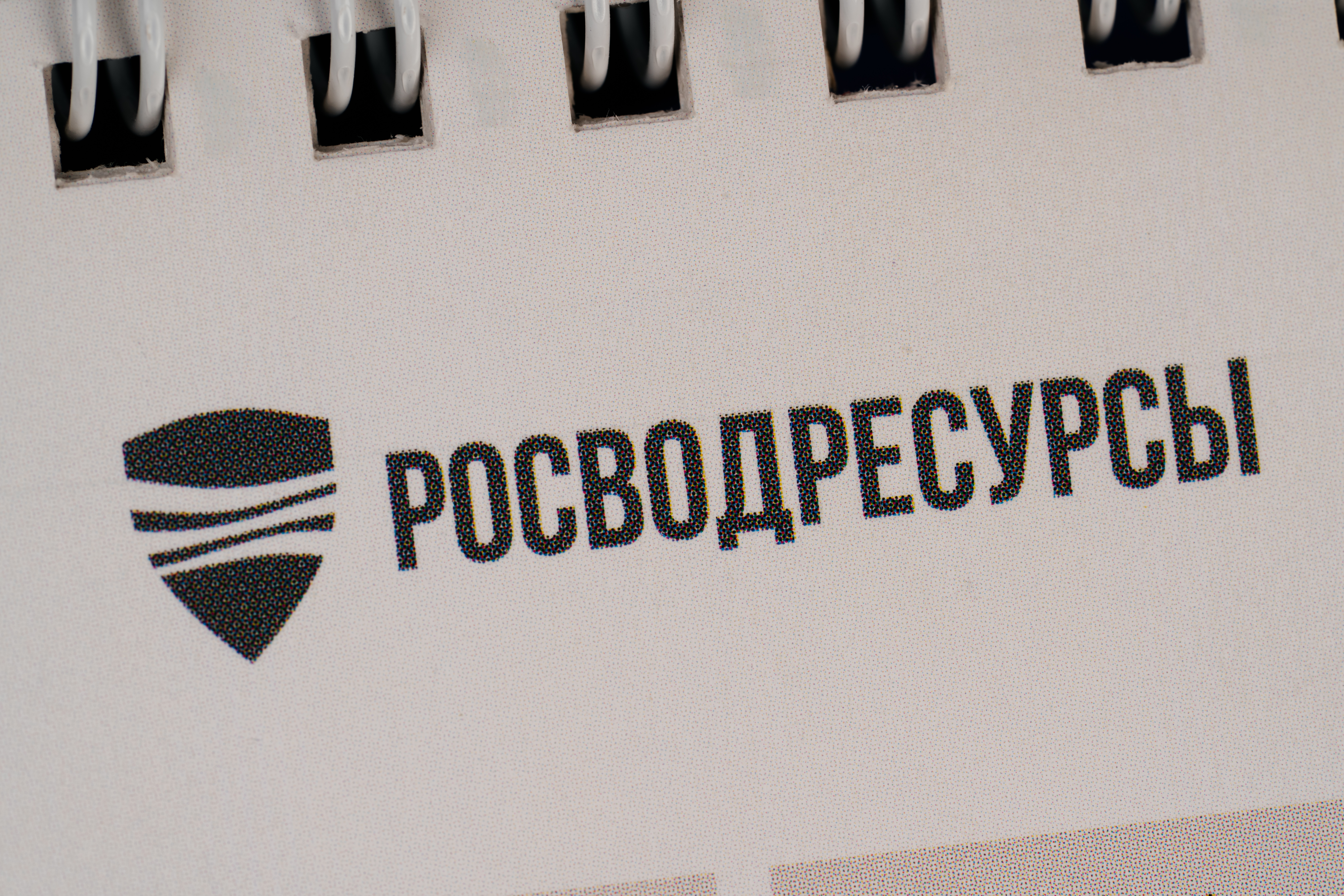 Изображения отсутствуют