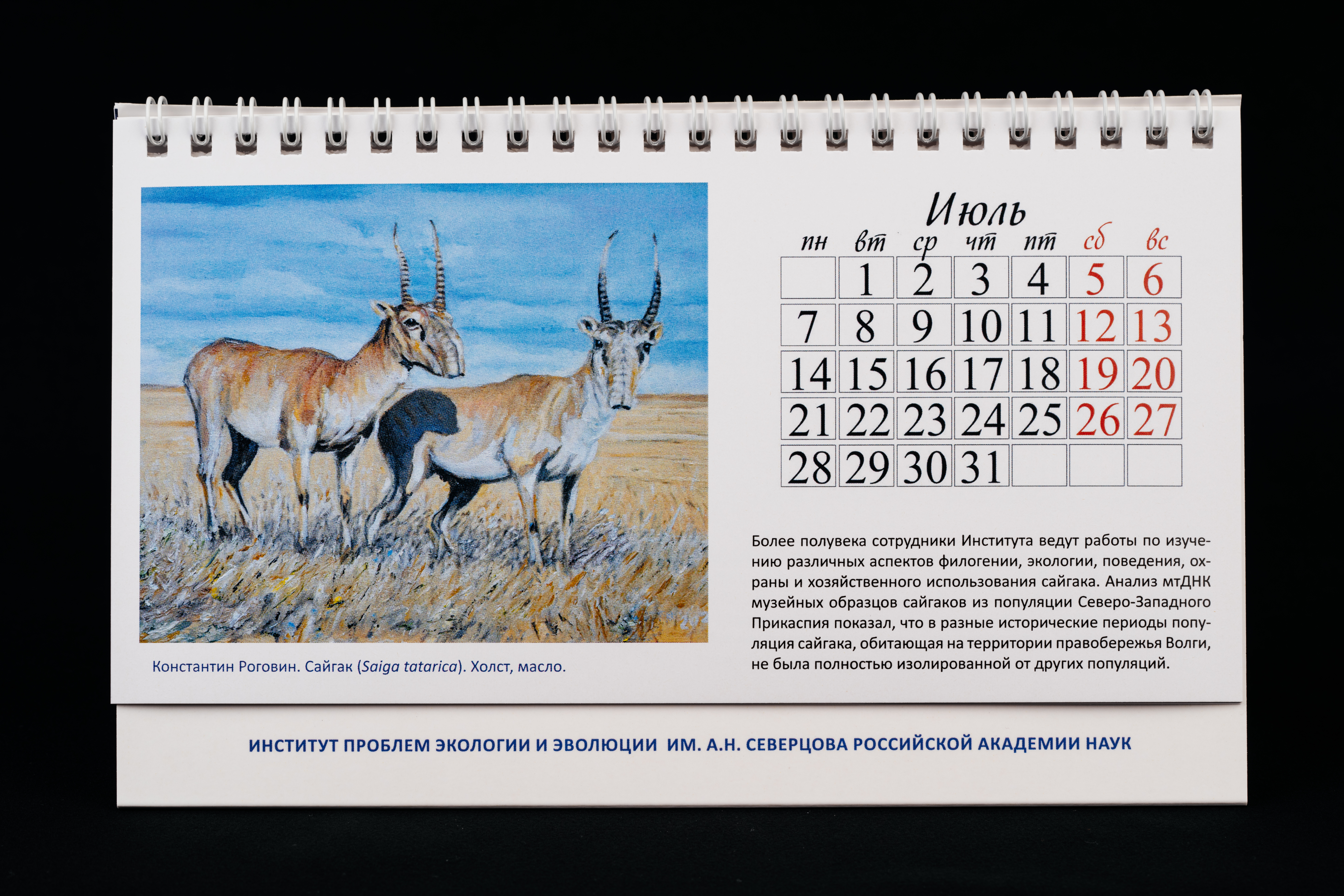 Изображения отсутствуют