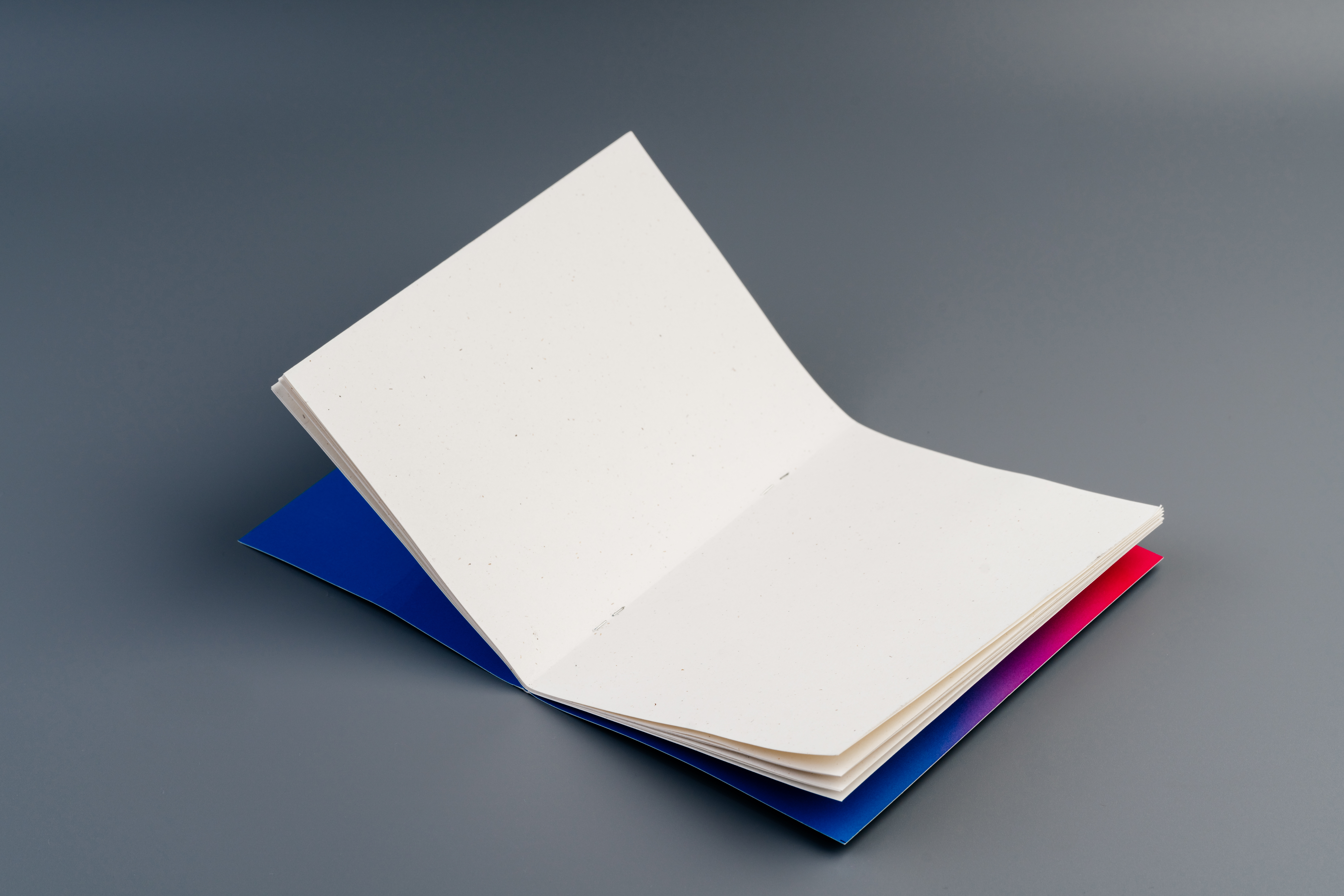 Изображения отсутствуют