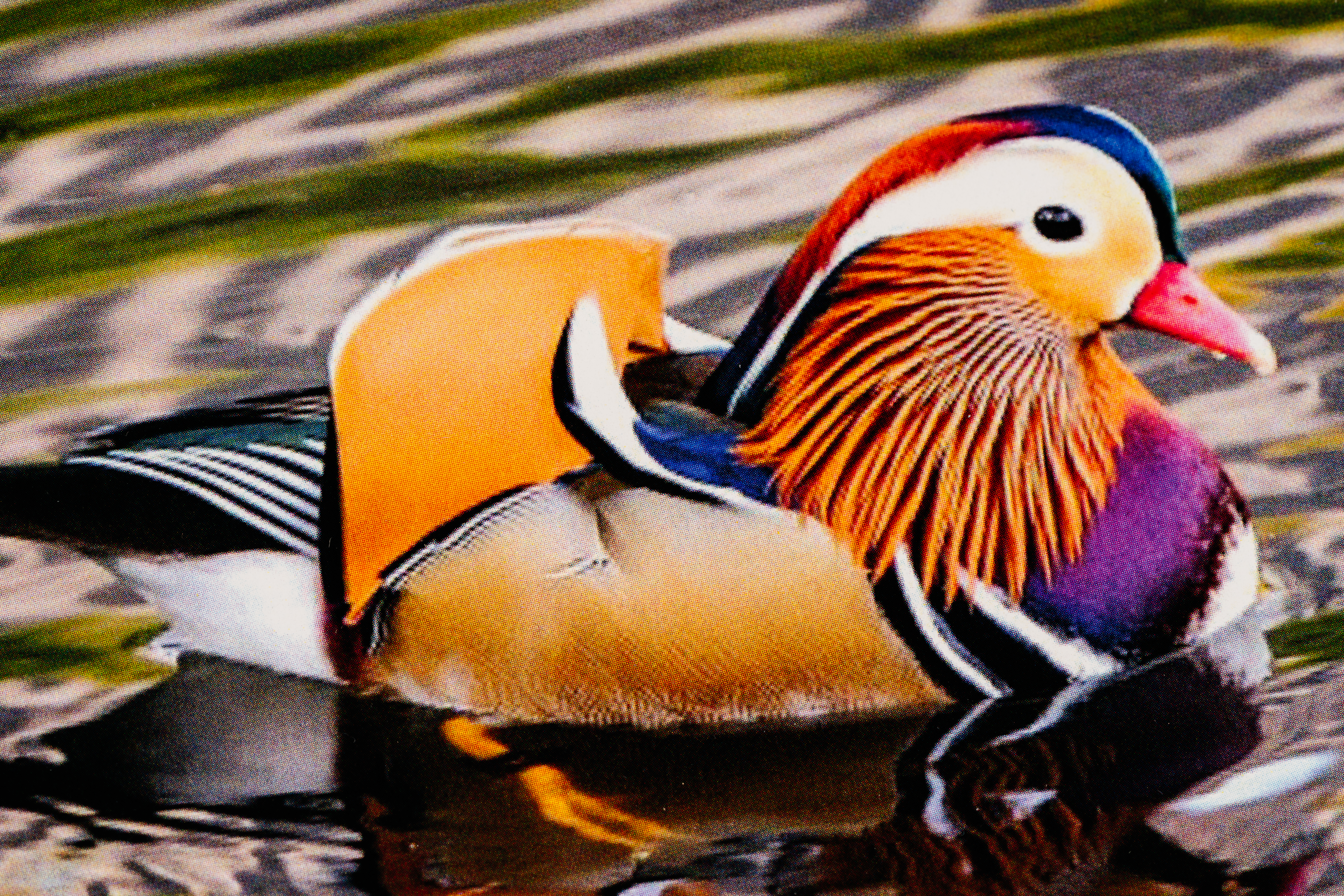 Изображения отсутствуют