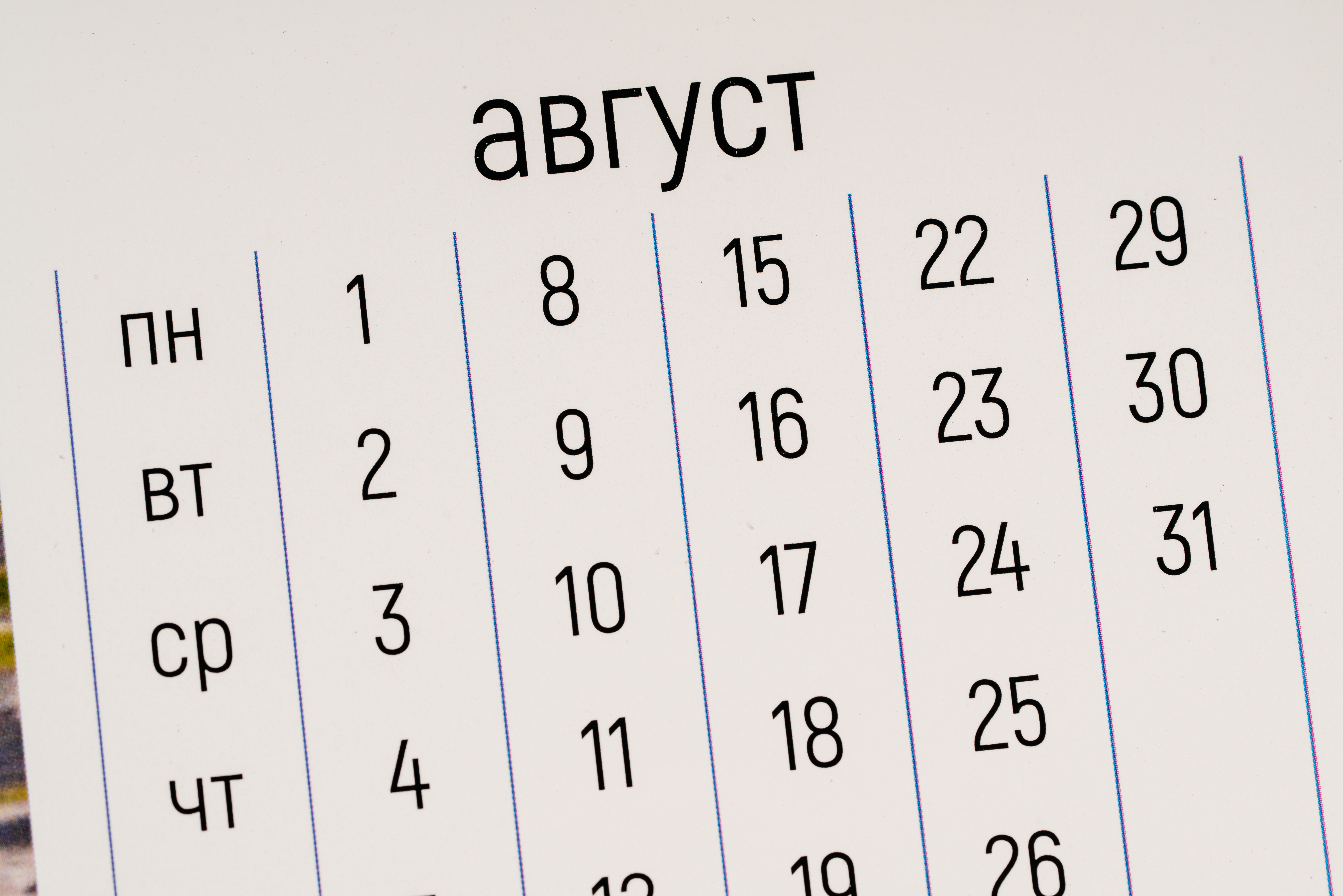 Изображения отсутствуют