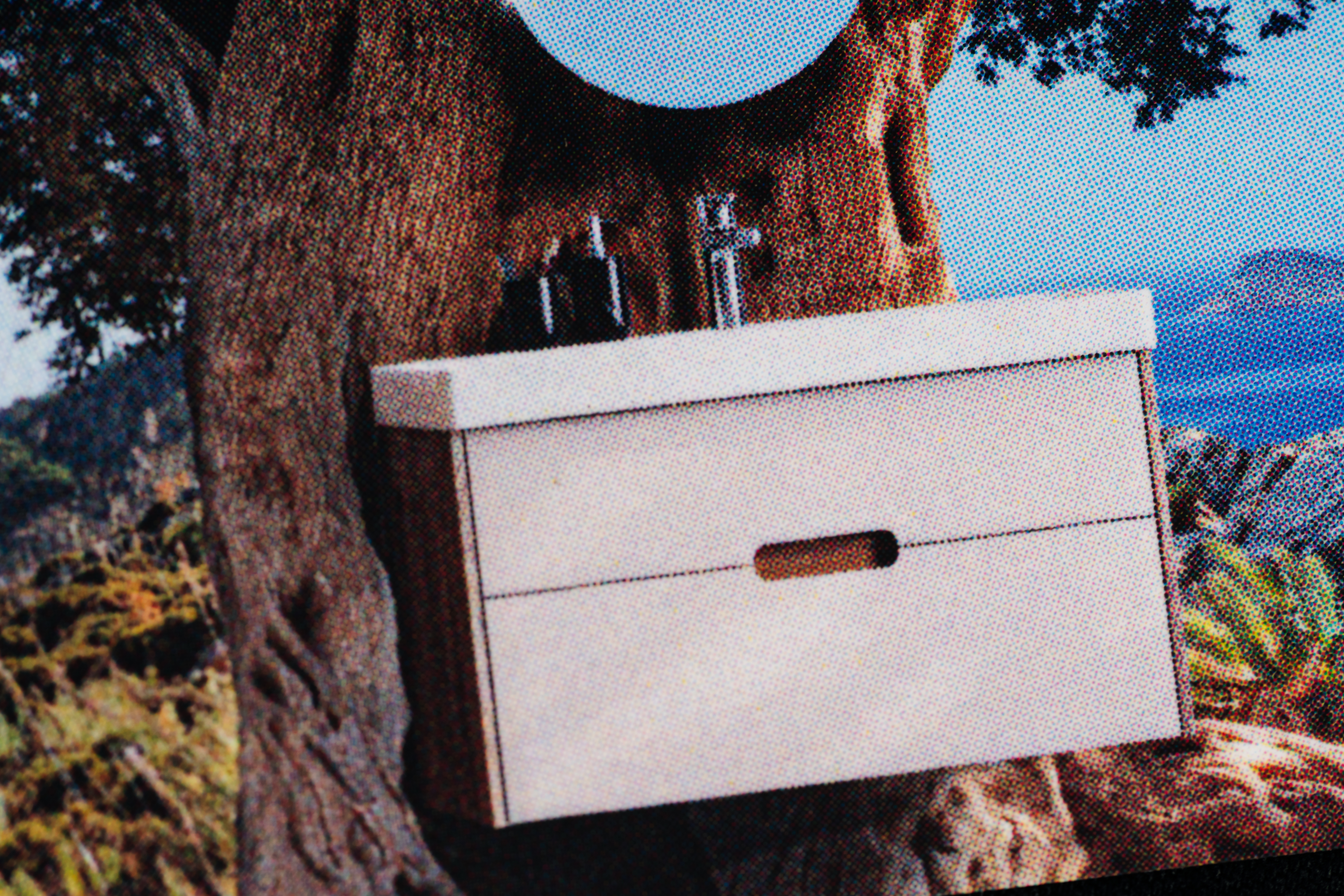 Изображения отсутствуют