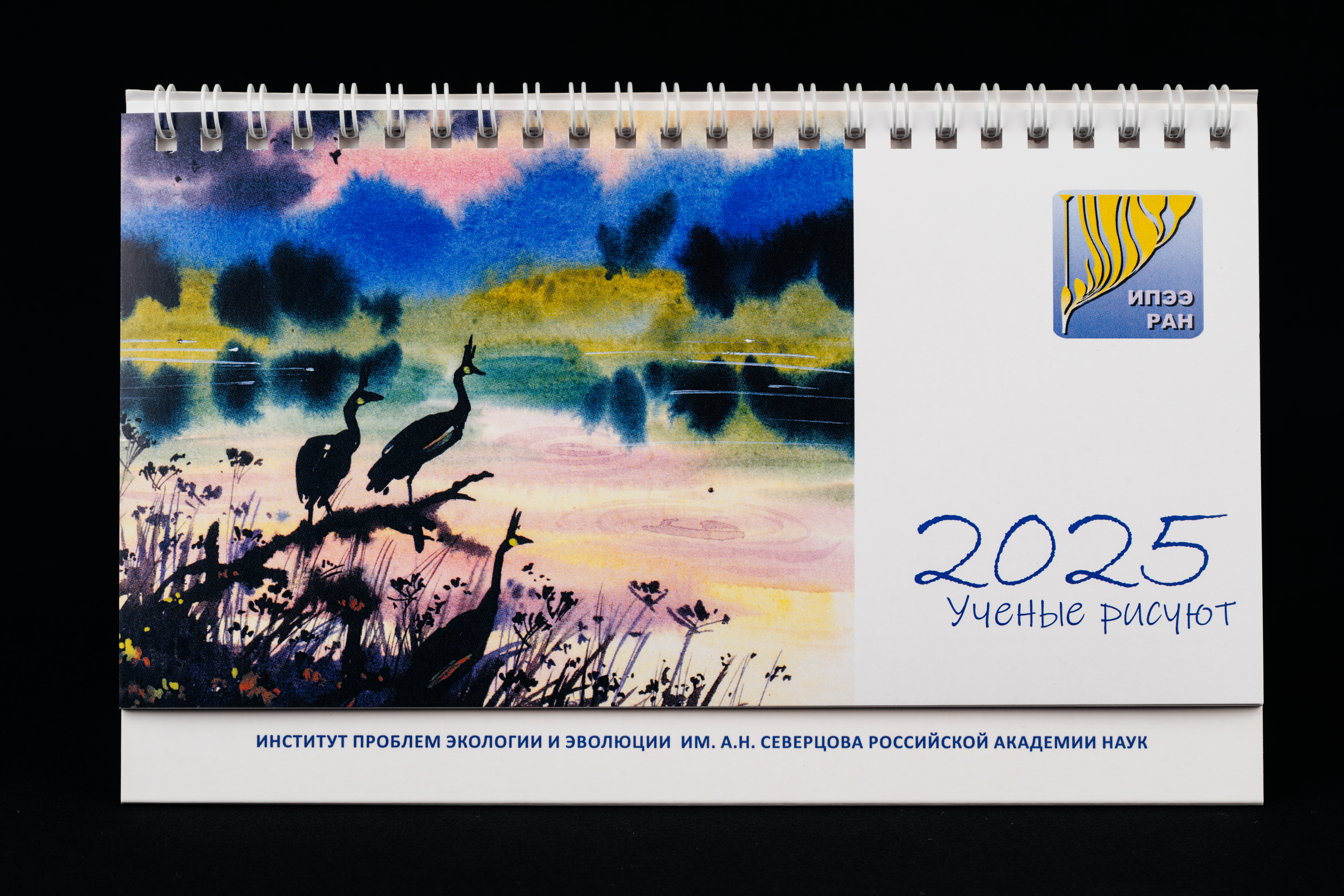 Изображения отсутствуют