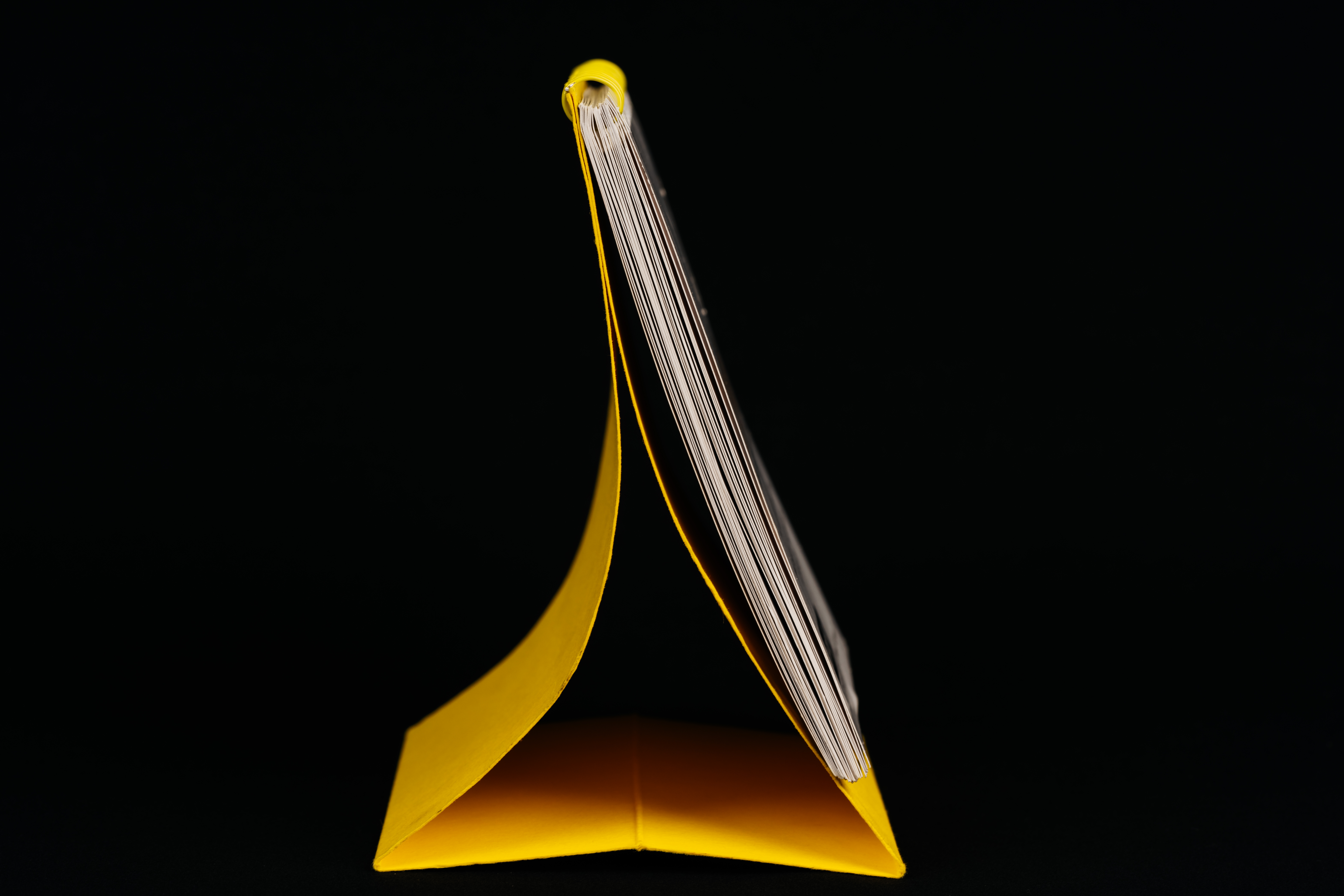 Изображения отсутствуют