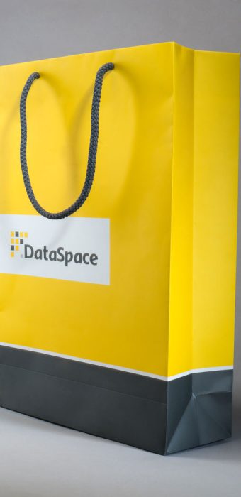 Бумажный пакет с логотипом "DataSpace"