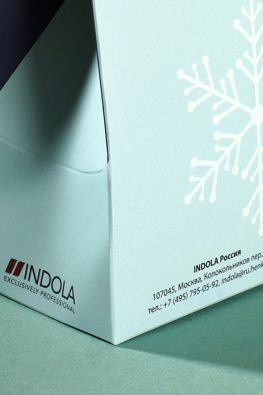 Картонная коробка для компании Indola "Набор для глинтвейна"