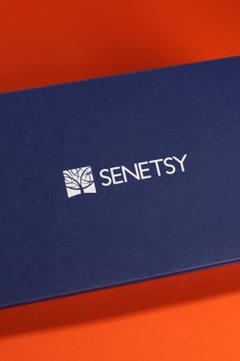 Картонная коробка для карандашей на магнитах для компании Senentsy