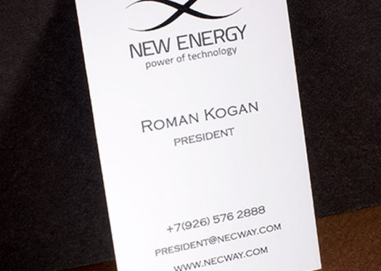 Визитная карточка президента компании New Energy