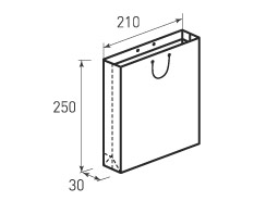 Вертикальный бумажный пакет В210x250x30