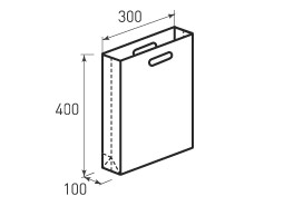Вертикальный бумажный пакет В300x400x100 с ручками