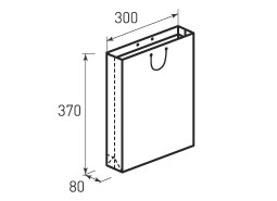 Вертикальный бумажный пакет V300x370x80