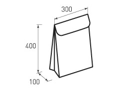 Вертикальный бумажный пакет V300x400x100 с клапаном